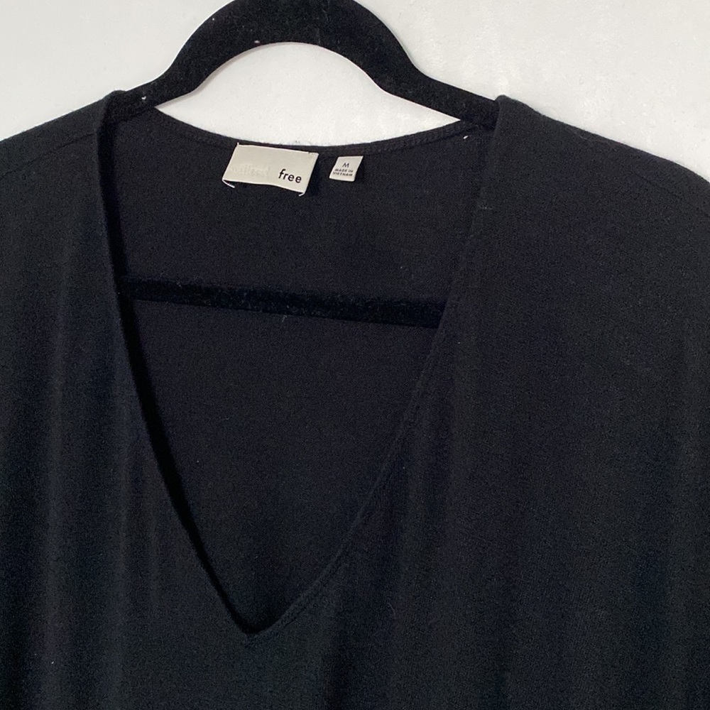 Wilfred Free dress